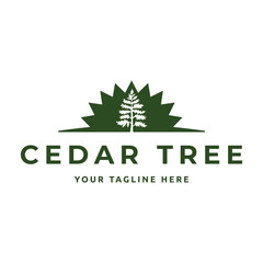 Cedar pine tree logo nature organic environment icon symbol illustration