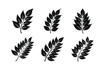 Curry Leaf (Murraya koenigii) design, labeled linocut vector illustration