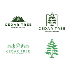 Set of Cedar pine tree icon nature organic environment icon symbol illustration.