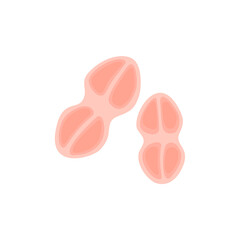 Tetracoccus Bacteria Illustration 