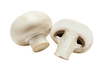 Fototapeta premium Two fresh mushrooms champignons, one whole and the other cut in half isolated on white background