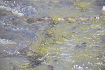 icy river flowing thru the snowy meadow