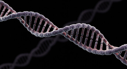 3D Illustration of an DNA Strand