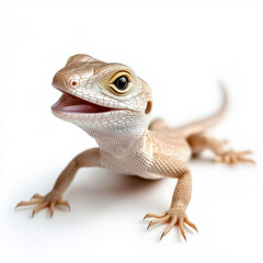 Naklejka premium A close-up shot of a playful lizard with bright eyes and a cheerful expression. isolated on white background.