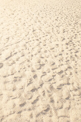 Summer beach sand background with natural wave pattern. Sand texture.