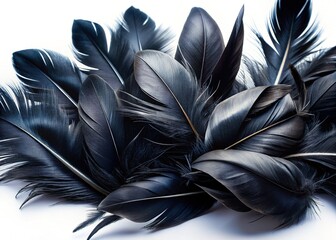 Elegant Black Feathers Isolated on White: High-Resolution Stock Photo