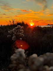 red sunset over the beach and ocean
