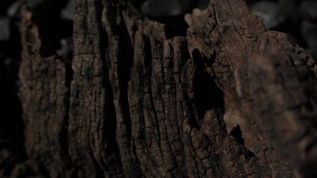 Burnt wood and charcoal fragments close-up.