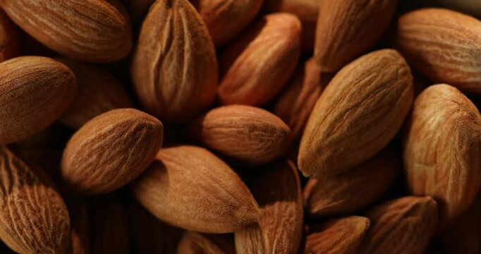 Macro View of Whole Almonds with Textured Shells