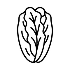 napa cabbage icon, vegetables line art, vegetables vector - simple black line art icon of napa cabbage perfect for logos, and vegetables-themed designs.