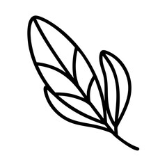 sage leaf icon, vegetables line art, vegetables vector - simple black line art icon of sage leaf perfect for logos, and vegetables-themed designs.