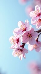 vibrant pink cherry blossoms on tree branch against clear blue sky, capturing spring essence, concept of seasonal advertising, floral arrangements, and tourism promotions