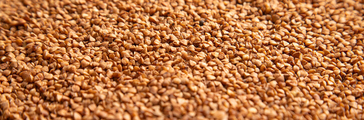 Close up of buckwheat grain. Vegan food