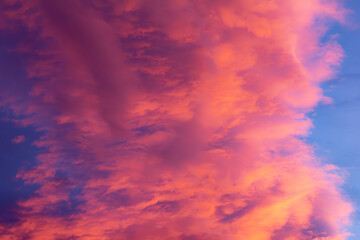 Golden Sky 14
