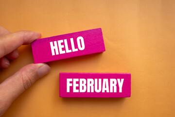 Hello february message written on pink wooden blocks with orange background. Conceptual hello february symbol. Copy space.