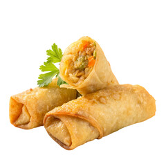 Close-up of a golden-brown spring roll.