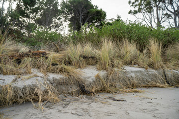 coastal erosion on a beach in australia
