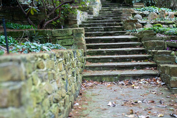 stone stairs in a park in australia