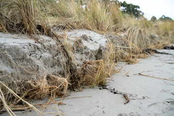 coastal erosion on a beach in australia