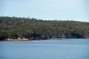 australian coastline with the bush and rocks