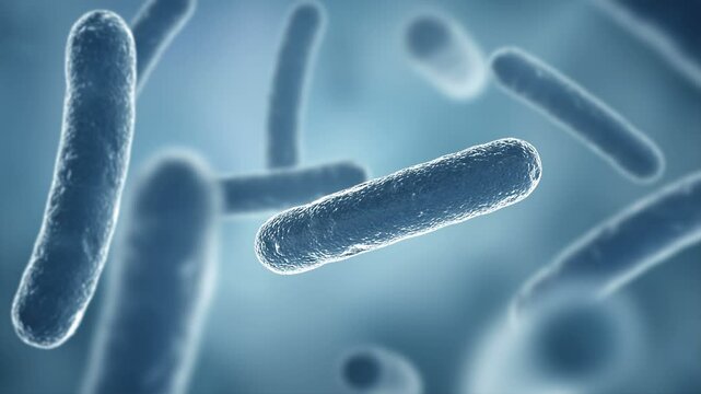 Mycobacterium tuberculosis or different bacteria seen by electron microscope. HD
