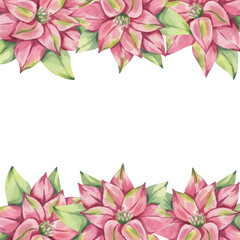 Poinsettia pink red frame, winter flower with leaves. Traditional plant for Christmas decoration. Happy New Year! Hand drawn watercolor illustration isolated white background. For printing postcards
