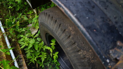 Selective Focus on a Truck with Wild Grass Growing Around It