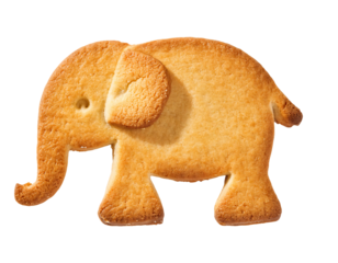 Adorable elephant-shaped butter cookie with detailed trunk and ears on an isolated black background, perfect for animal-themed desserts and creative snack photography
