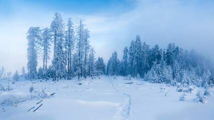 Obraz premium Silent frozen winter forest with path through the snow field has mysterious atmosphere with misty cloudy sky during mountaineering in Sumava mountains, Czechia.