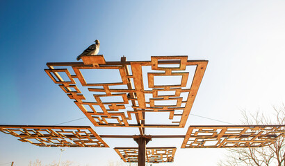 pigeons on the wooden pergola under blue sky in the city