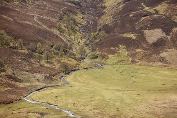 Rolling hills and a meandering stream in the Scottish Highlands during early spring