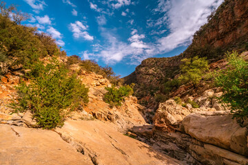 Sunlight illuminates the colorful rock formations and lush vegetation within a gorge in the Atlas mountains, creating a breathtaking natural landscape under a vibrant blue sky