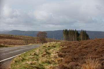 Scenic view of a winding road through the Scottish countryside with rolling hills and heather in late afternoon light