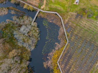 Acarlar Longozu Sakarya Adapazari Karasu Turkey Wooden Boardwalk Through a Wetland Ecosystem. High-angle, full shot of a network of wooden boardwalks traversing a wetland area. Aerial view, drone shot
