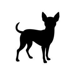 Black chihuahua standing silhouette vector illustration design on white background.