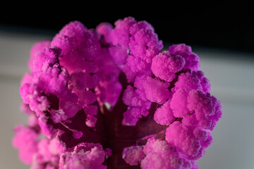 Detail of crystals on a paper tree imitating cherry blossoms.