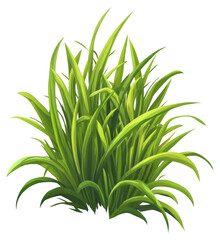Fototapeta premium PNG Grass illustration green plant.