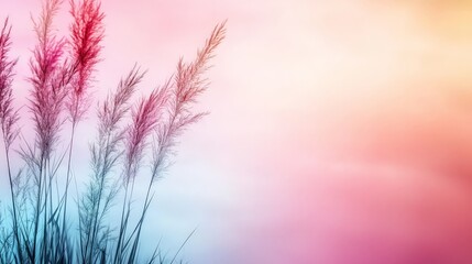 Obraz premium Ethereal Misty Background with Pastel Shades and Soft Gradients, Featuring Delicate Silhouettes of Grass in Beautiful Merging Colors for Creative Projects