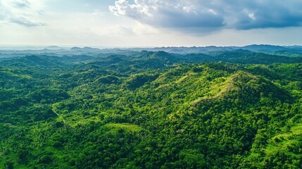 A bird's-eye view of a lush green forest in the countryside.
