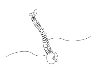 Continuous one line drawing bones of human hand.  Wrist bones in single line art vector illustration. Editable stroke.