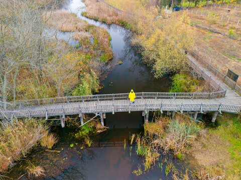 Acarlar Longozu Sakarya Adapazari Karasu Turkey Turkiye Drone Shot Person in yellow raincoat walking across a wooden boardwalk over a marsh in autumn. High-angle view of a wooden boardwalk spanning - Powered by Adobe
