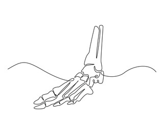 Continuous one line drawing bones of human foot.  bones of the foot in single line art vector illustration. Editable stroke.