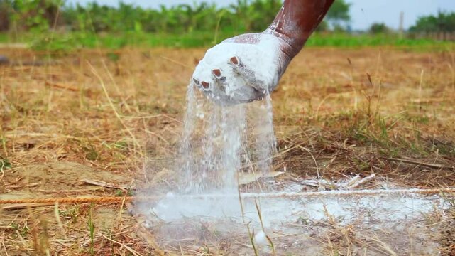 Man's hand sprinkles white powder in a slow motion over the land. Indian real-estate land plotting and demarcation. Preparation of a construction site White powder disperses on ground in a slow motion
