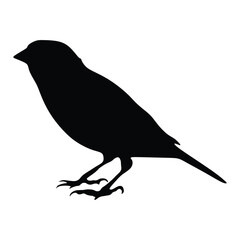 Sparrow silhouette vector illustration. Sparrow silhouette vector illustration 