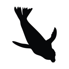 Silhouette of a seal