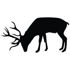 Deer Silhouette on White Background