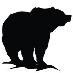 Vector bear silhouette isolated on white background.