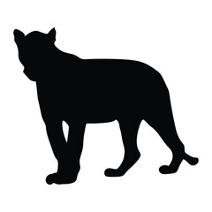 Puma black silhouette, Vector wildcat illustration. Side view predator animal isolated on white background 