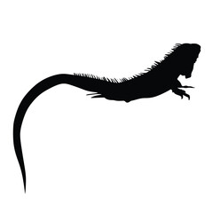 Lizard silhouette - vector illustration, Iguana  Silhouette isolated on a white background, Iguana black Silhouette Vector