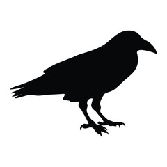 Silhouette of a raven